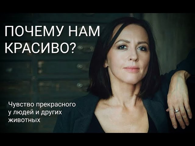 Чувство прекрасного у людей и других животных // лекция Евгении Тимоновой