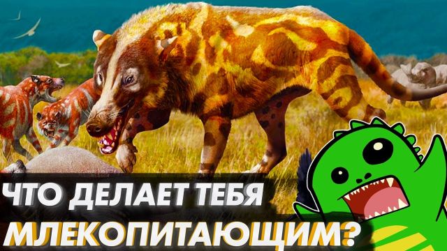 ТРИ ВЕЩИ КОТОРЫЕ СДЕЛАЛИ ТЕБЯ НАСТОЯЩИМ ЗВЕРЕМ