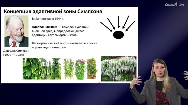 8. Макроэволюция и эволюция экосистем