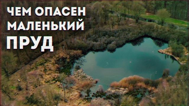 Лептоспироз. Как стоячие водоёмы становятся источником инфекции?