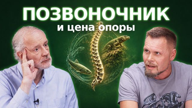 Цена позвоночника – Семихатов, Скучас