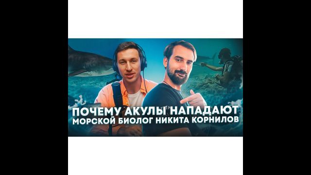 Почему акула нападает? Наука про акул