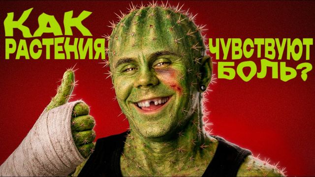 НЕ ДЕЛАЙТЕ С РАСТЕНИЯМИ ЭТО! — ТОПЛЕС