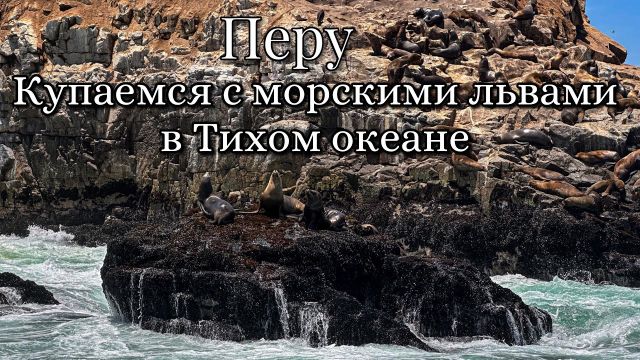 Перу. Купаемся с морскими львами в Тихом океане.