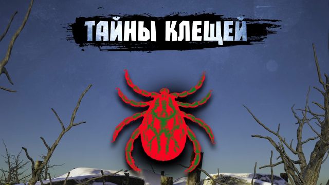 Иксодовый клещ. Как он живет, и чего боится