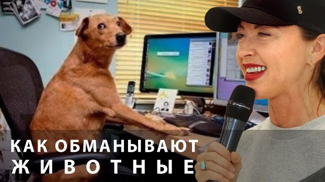 Как обманывают животные? \\ лекция Евгении Тимоновой