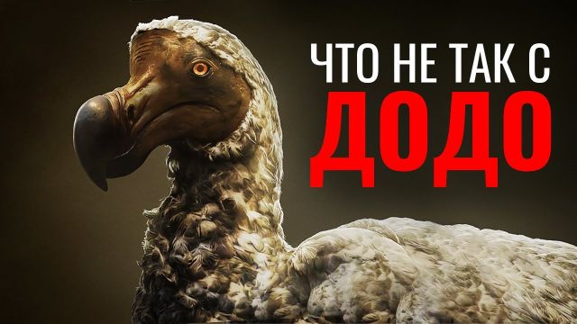 Что на САМОМ деле случилось с ДОДО?