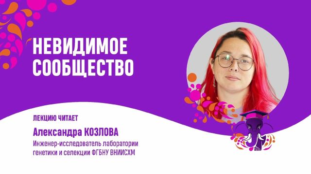 Невидимое сообщество.  Александра Козлова