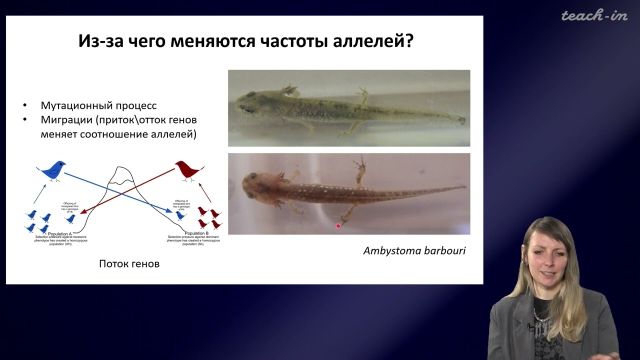 7. Популяция