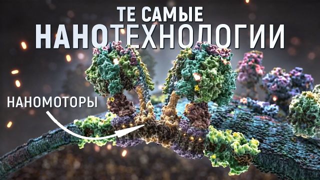 Биология опережает ЛЮБЫЕ машины. Молекулярные моторы живых организмов внутри клеток