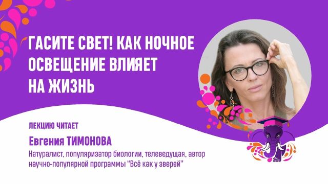 Гасите свет.  Евгения Тимонова