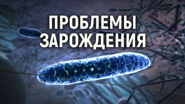 Митохондрия. Энергия для жизни всех организмов. Проблемы естественного отбора