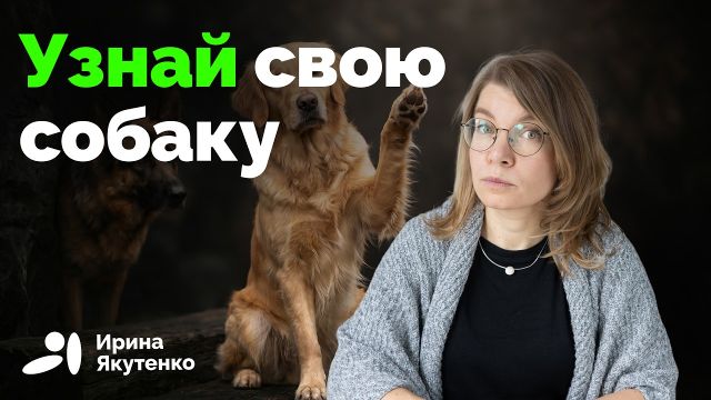 Чем отличаются собаки правши и левши