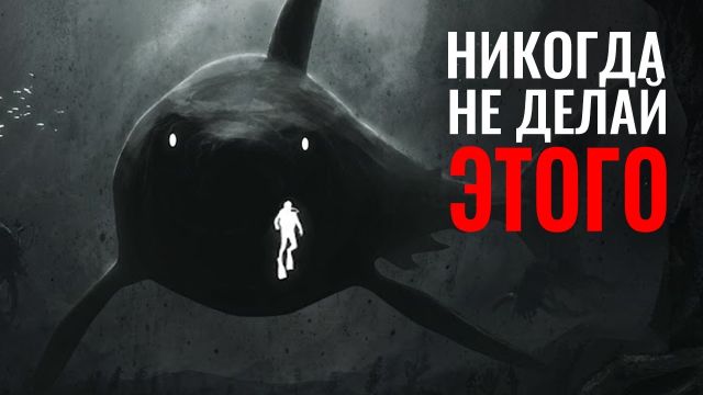 Что делать, если встретил Акулу?