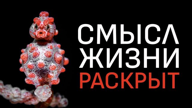Жизнь — не то, чем кажется