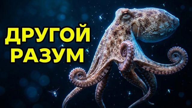 Осьминоги - подводные инопланетяне